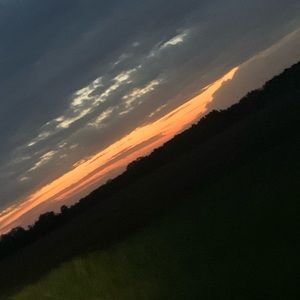 Meet your Posher, Madelyn